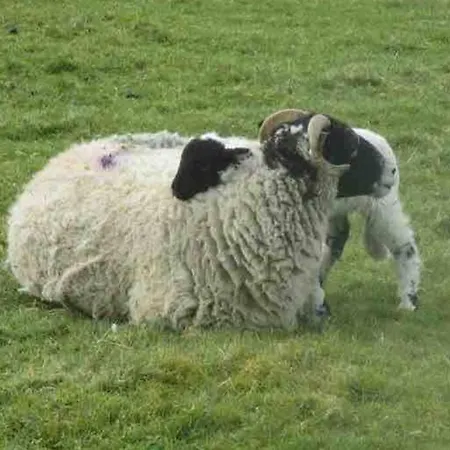 District Romantic Get Away In 1 Acre Gardens Off M6 Penrith