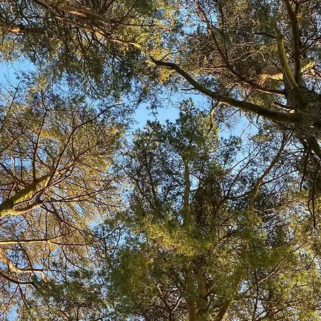 District Romantic Get Away In 1 Acre Gardens Off M6 Tatil Evi