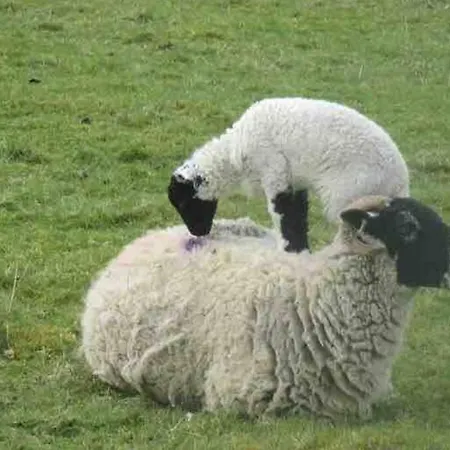 District Romantic Get Away In 1 Acre Gardens Off M6 Penrith