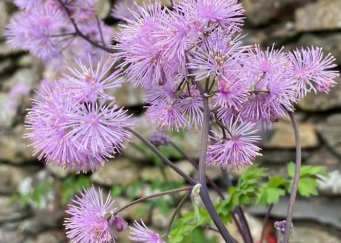 District Romantic Get Away In 1 Acre Gardens Off M6 * Penrith