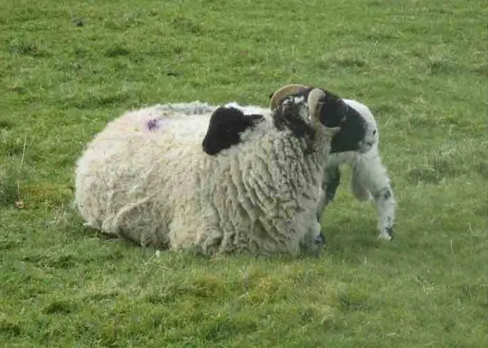 District Romantic Get Away In 1 Acre Gardens Off M6 Penrith