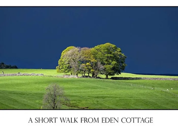 District Romantic Get Away In 1 Acre Gardens Off M6