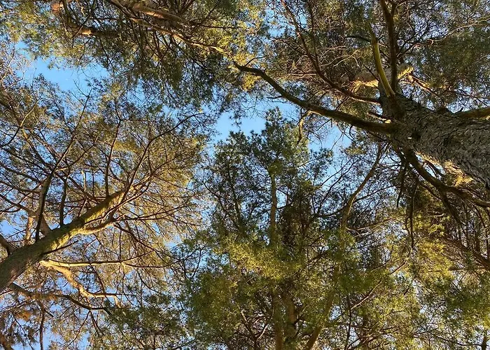 District Romantic Get Away In 1 Acre Gardens Off M6 Holiday home